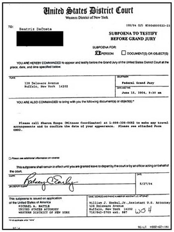 Subpoena delivered to CAE collaborator