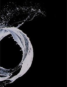 martin rieser